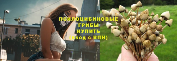 mix Алексин