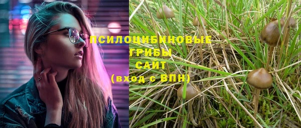 твердый Алзамай