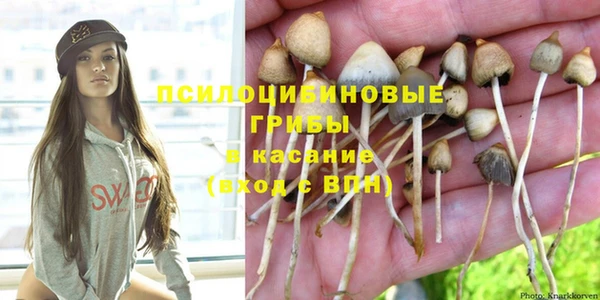 mix Алексин