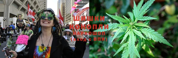 твердый Алзамай