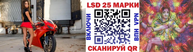 закладка  Чадан  Марки N-bome 1,8мг 