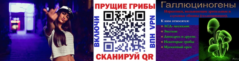 Галлюциногенные грибы GOLDEN TEACHER  Чадан 